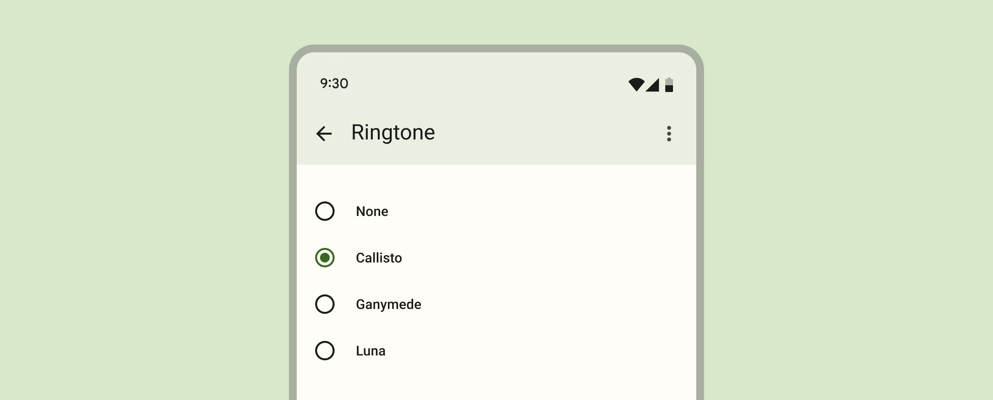 Radio buttons A list of items with radio buttons and one selected.